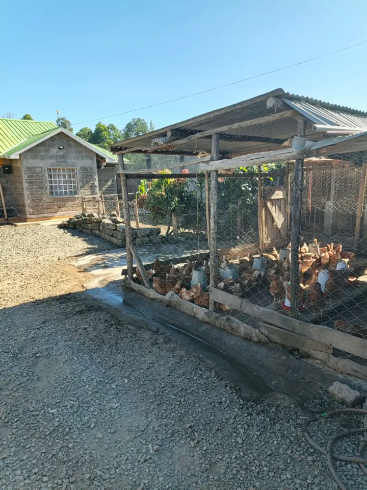 3-Bed Bungalow, Nakuru LANET — photo 3