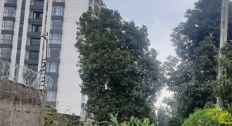 Prime 40 × 150 Plot – Ruaka 0727100900